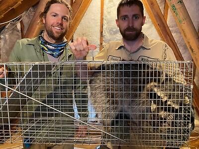 Madison pest control